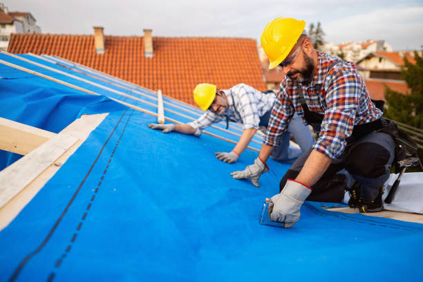 Best Green or Eco-Friendly Roofing Solutions  in Ferndale, PA