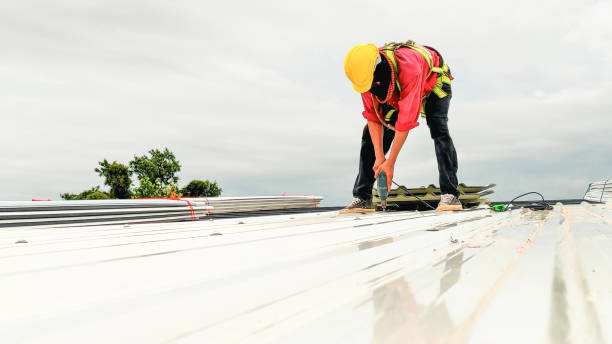 Best Storm Damage Roof Repair  in Ferndale, PA